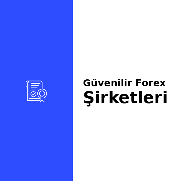 Güvenilir Forex Şirketleri: Nasıl Seçilir?