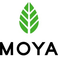 Moya Markets Şikayetleri