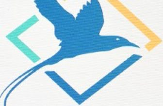 FSA Lisansı Nedir? (Financial Services Authority – Offshore Yapılar)