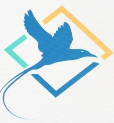 FSA Lisansı Nedir? (Financial Services Authority – Offshore Yapılar)